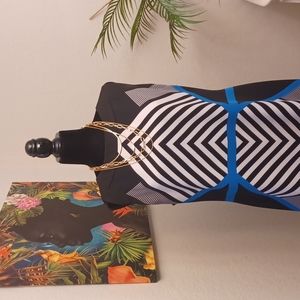 Black, White & Blue Dress